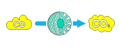 Shift Reaction Catalyst