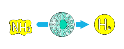 Ammonia cracking