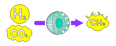 Methanation