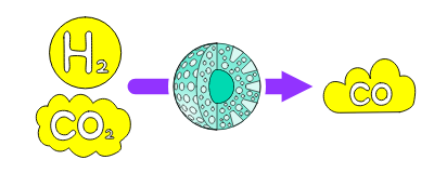 Fischer Tropsch synthesis(Reverse Water Gas Shift)